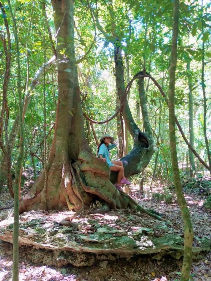 Hostal Mulut Tulum Bagian luar foto